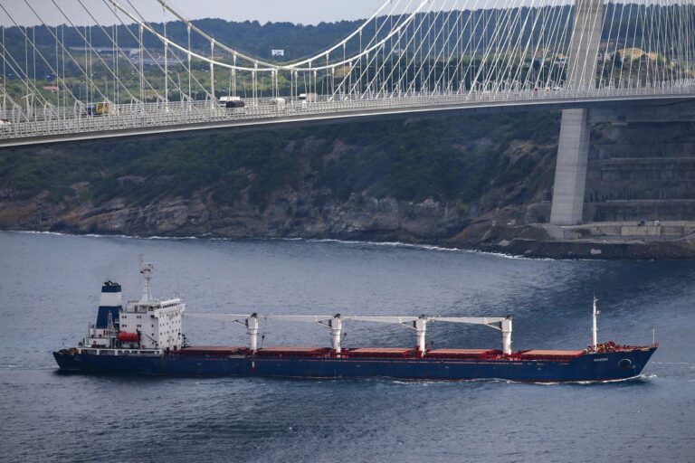 Location of first ship to leave Ukraine carrying grain unknown