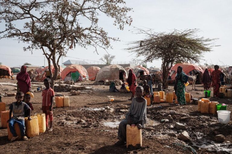 Horn of Africa on track for 5th failed rainy season: WMO