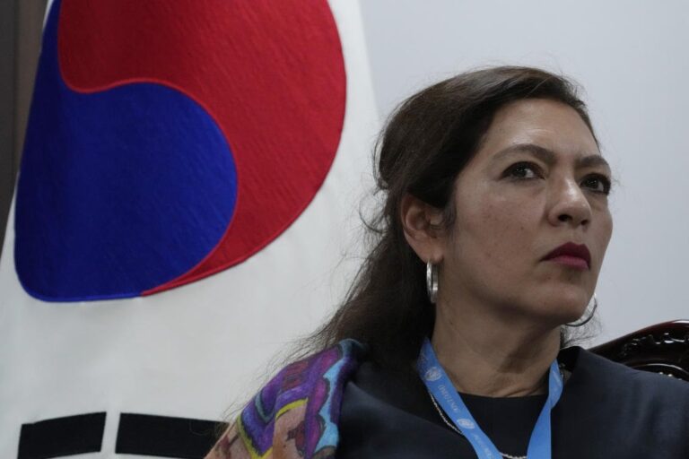 North Korea says UN human rights expert is ‘US puppet’