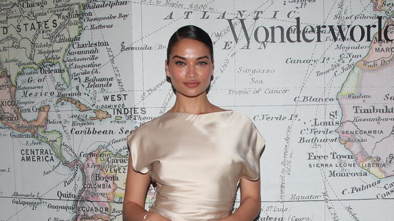 Part-Saudi model Shanina Shaik welcomes her first child