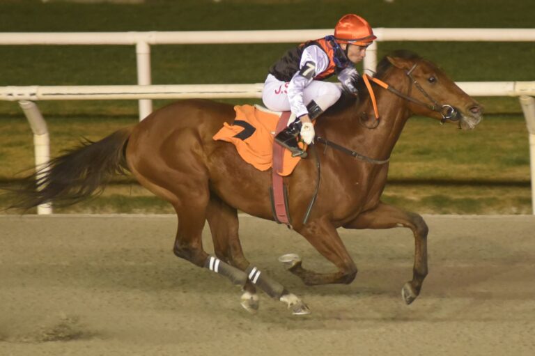 Saudi Cup is the target of Es-Unico who hopes to emulate Uruguayan horses