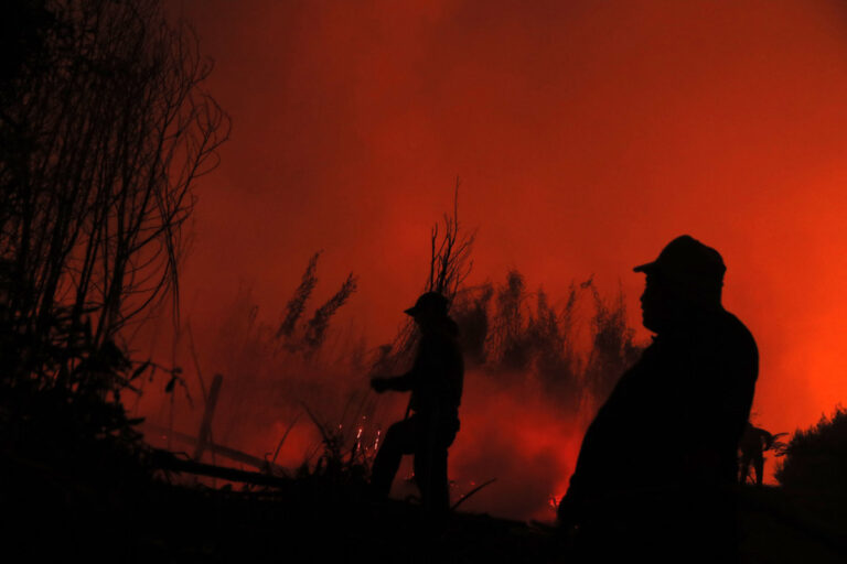 At least 23 dead as dozens of wildfires torch forests in Chile