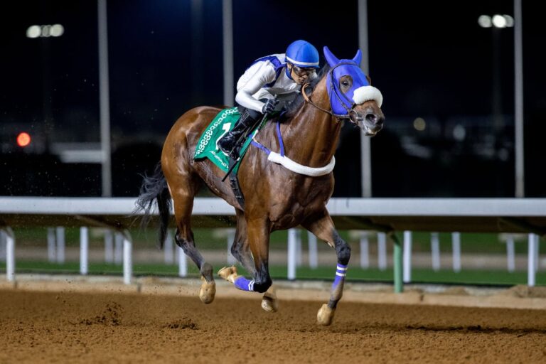Saudi Cup 2023 sees sons of Quality Road meet