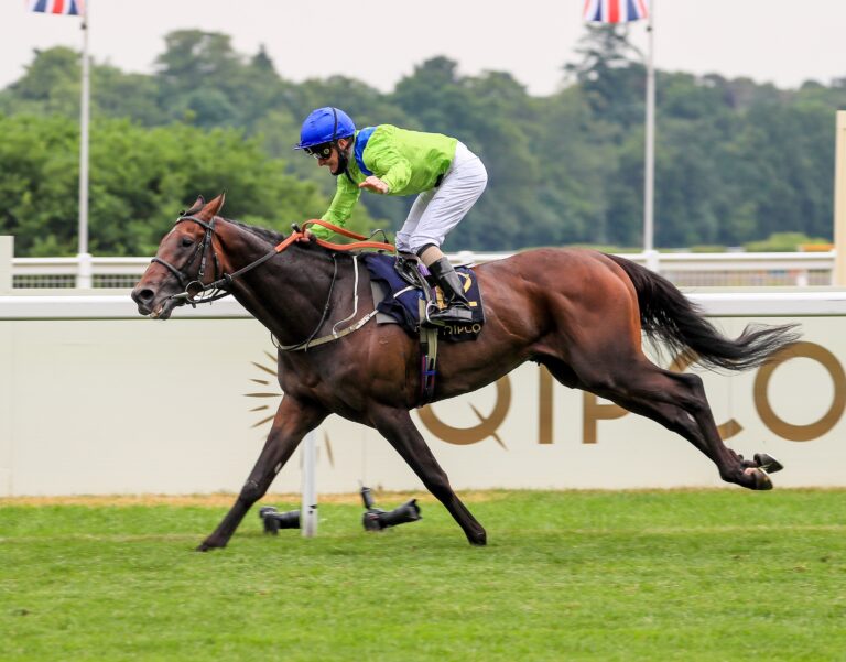 Johnston hopeful Subjectivist is still one of the best stayers around
