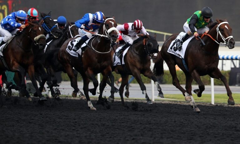 Dubai World Cup Carnival set for most diverse lineup yet