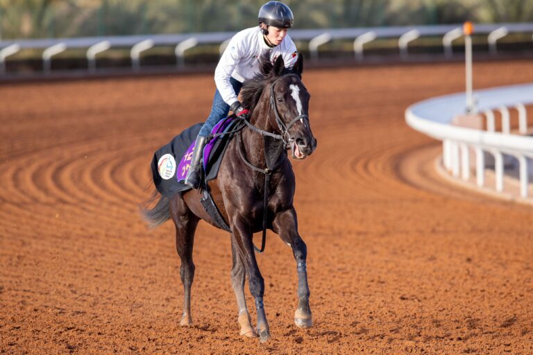 Saudi Cup 8-race card promises some of the year’s best action
