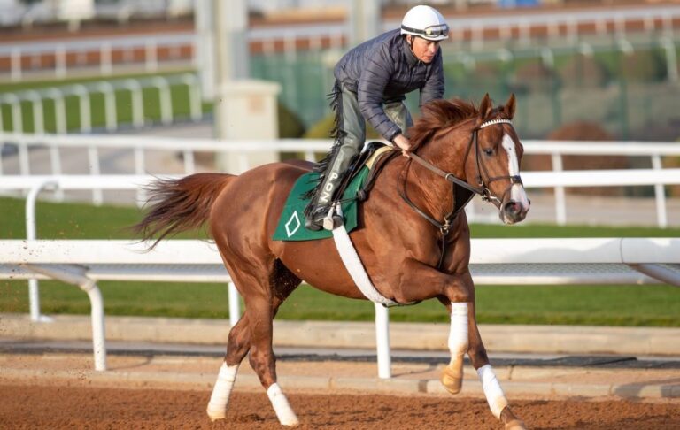 Elite pair to represent international master Mott on Saudi Cup night