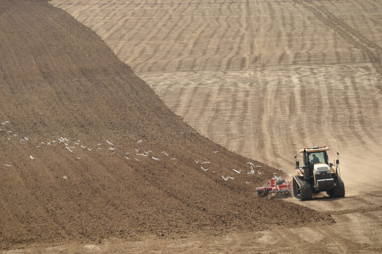 UK food shortages to last until May, farmers warn