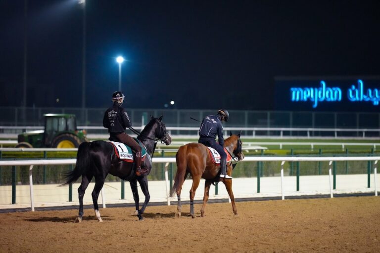 5 things to keep an eye on at the 2023 Dubai World Cup
